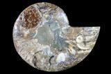 Agatized Ammonite Fossil (Half) - Madagascar #88246-1